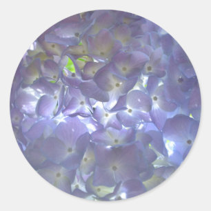 Lavender Hydrangeas violette Blumen Runder Aufkleber