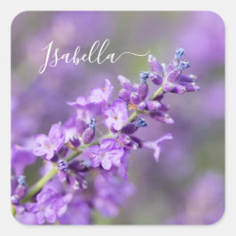 Lavender Individuelle Name Quadratischer Aufkleber