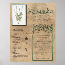 Lavender Kräuterbuch Schatten Pagan Wiccan Poster