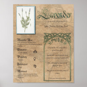 Lavender Kräuterbuch Schatten Pagan Wiccan Poster