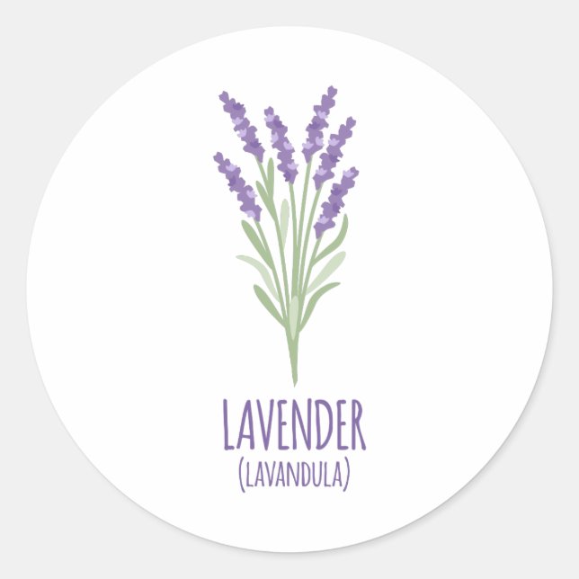 Lavender Lavandula Runder Aufkleber (Vorderseite)