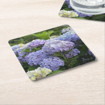 Lavender & Lilac Hortensia Hydrangea Blume