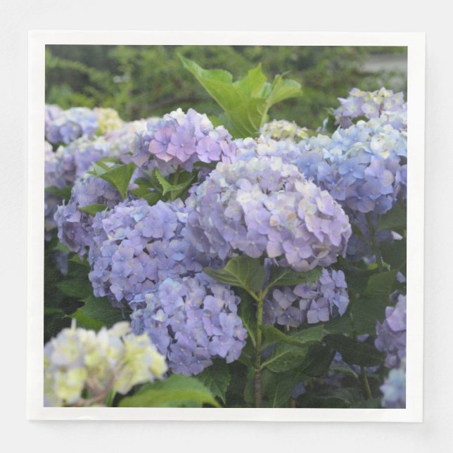 Lavender & Lilac Hortensia Hydrangea Blume Serviette (Vorderseite)