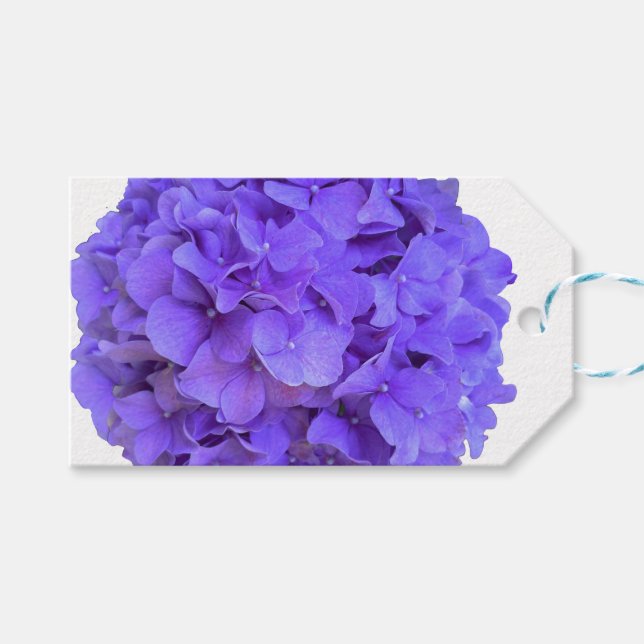 Lavender lilac lila Hydrangeas violette Blumen Geschenkanhänger (Vorderseite (Horizontal))