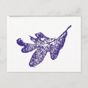 "Lavender Oak" Landstraßen Postkarte