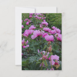 Lavender Peonies Mitteilungskarte