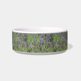 Lavender Pet Bowl Napf