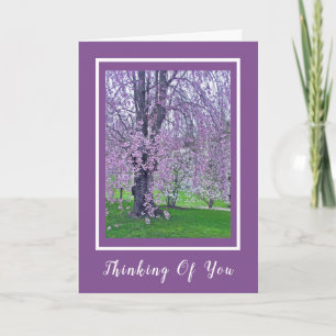LAVENDER PINK WEEPING CHERRY BAUM/Denken Sie daran Karte