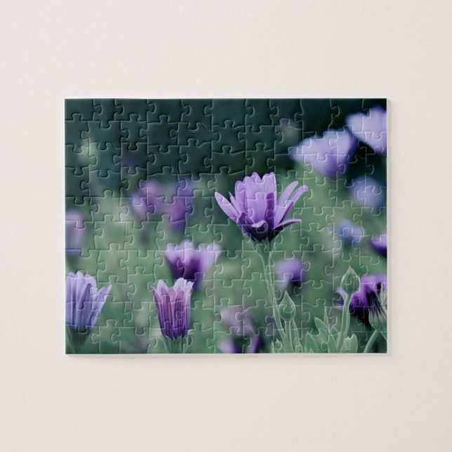 Lavender Purple Flowers Puzzle (Horizontal)
