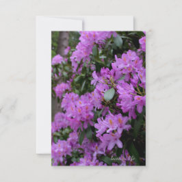 Lavender Rhododendron Mitteilungskarte