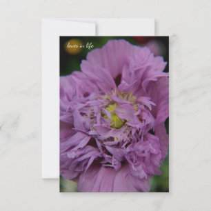 Lavender Ruffly Poppy Mitteilungskarte