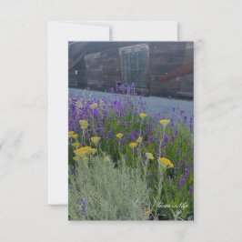 Lavender & Santolina Pflanze Mitteilungskarte