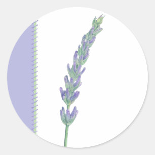 Lavender Sprig Sticker