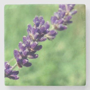 Lavender Stalk Foto Marble Stone Untersetzer
