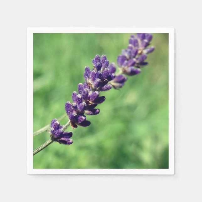 Lavender Stalk Foto Paper Napkins Serviette (Vorderseite)