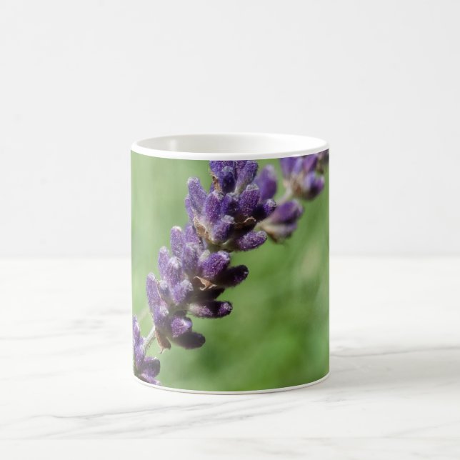 Lavender Stalk Foto Tasse (Mittel)