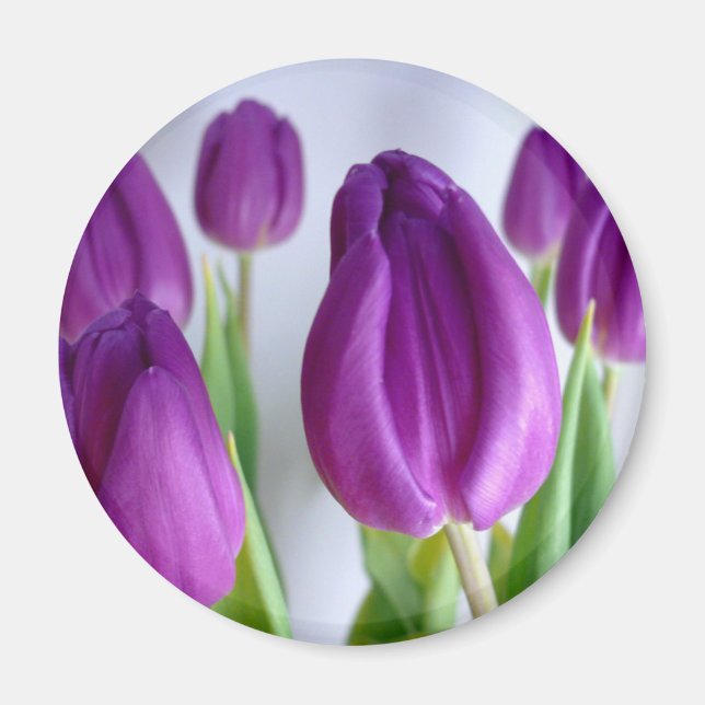 Lavender Tulips Magnet (Vorne)