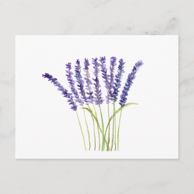Lavender Watercolor Purple Blumen Rustikal Postkarte (Vorderseite)