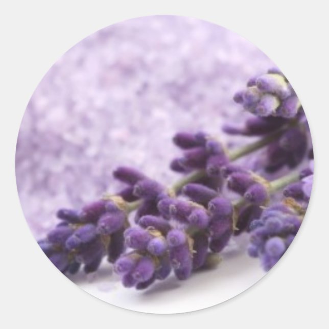 Lavenderaufkleber Runder Aufkleber (Vorderseite)