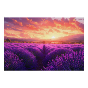 Lavenderfeld in der Provence Poster