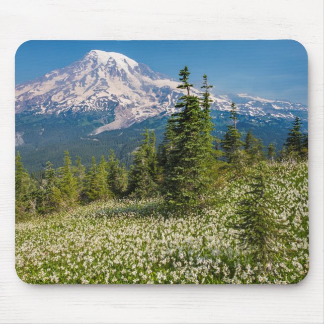 Lawinenlilie und Rainier Mousepad (Vorne)