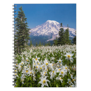 Lawinenlilien und Mount Rainier 2 Notizblock