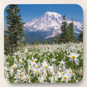 Lawinenlilien und Mount Rainier 2 Untersetzer