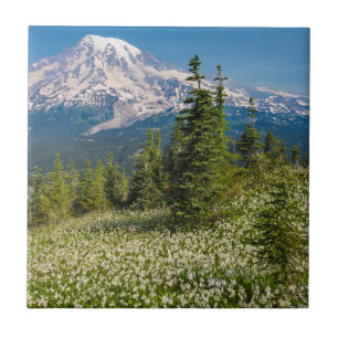 Lawinenlilien und Mount Rainier Fliese