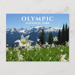 Lawinenlilies, Berge, Olympischer Nationalpark Postkarte