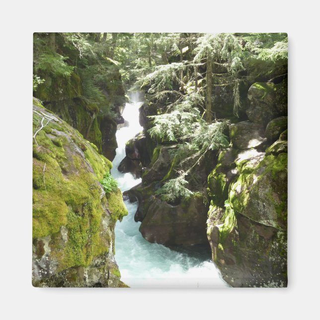 Lawinenschlucht II am Glacier-Nationalpark Magnet (Vorne)