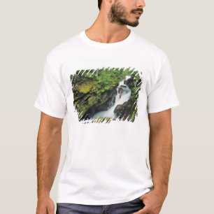 Lawinenschlucht im Gletschernationalpark im T-Shirt