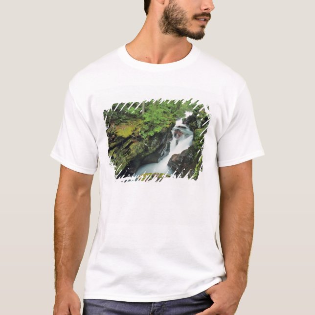 Lawinenschlucht im Gletschernationalpark im T-Shirt (Vorderseite)