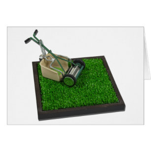 LawnmowerOnTheGrass100711