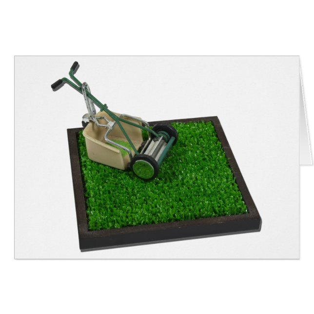 LawnmowerOnTheGrass100711 (Vorderseite (Horizontal))