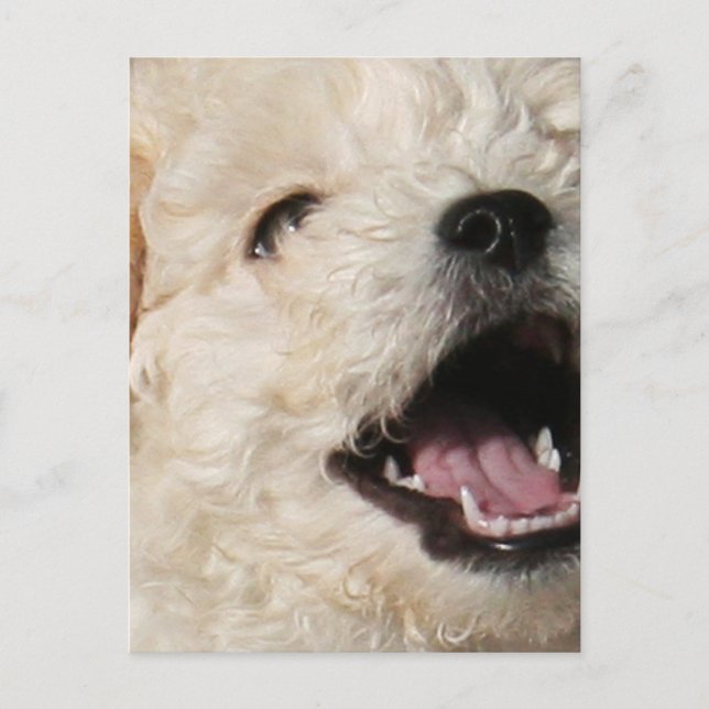 Lawrence Postcard Postkarte (Vorderseite)