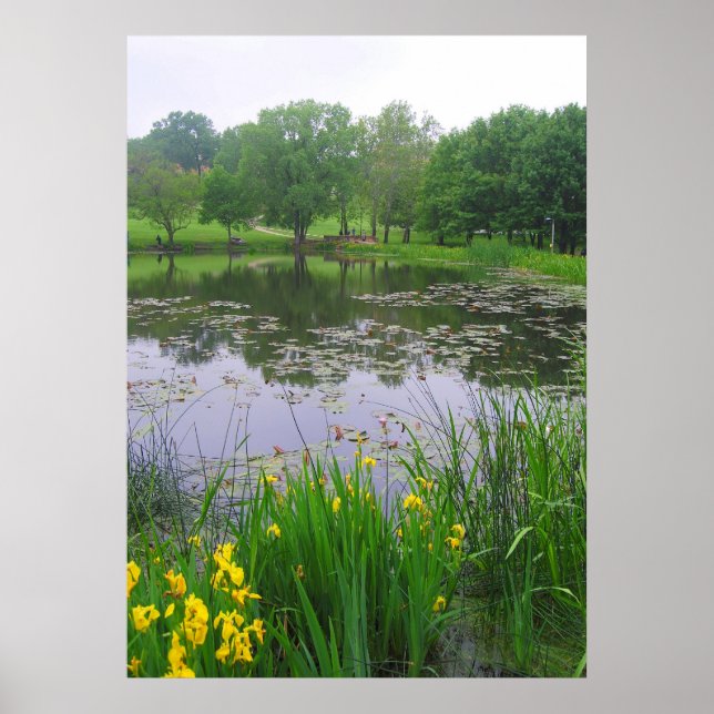 Lawrence-See, Kansas Poster (Vorne)