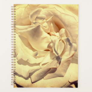 Layered-Rose-Planer Planer