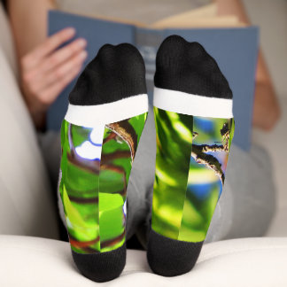 Lazuli-Ammer Socken