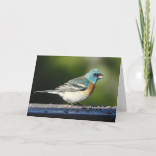 Lazuli Bunting Notecard Karte