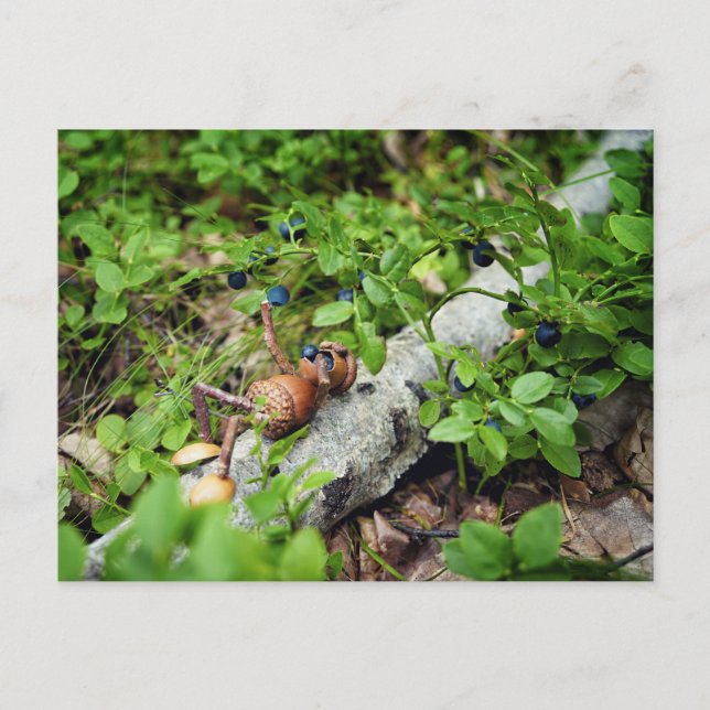 Lazy Acorn elf frisst Heidelbeeren Postkarte (Vorderseite)