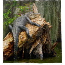 Lazy Alligator Duschvorhang von DeGruy