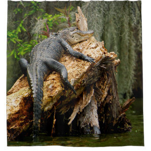 Lazy Alligator Duschvorhang von DeGruy
