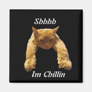 Lazy Brown Cat Chillin, Kühlschrankmagnet Magnet