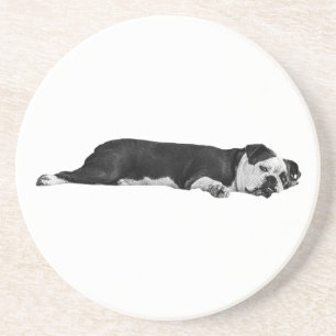 Lazy Bulldog, hübscher Tisch Getränkeuntersetzer