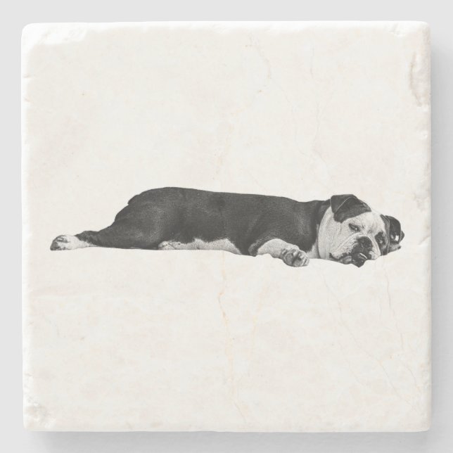 Lazy Bulldog, hübscher Tisch Steinuntersetzer (Vorderseite)