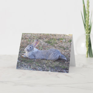 Lazy Bunny Greeting Card Karte