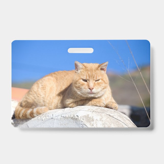 Lazy Cat Ausweis (Vorderseite)