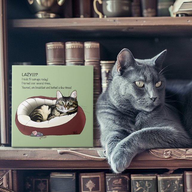 Lazy Cat Bed Green Funny Fliese (Von Creator hochgeladen)