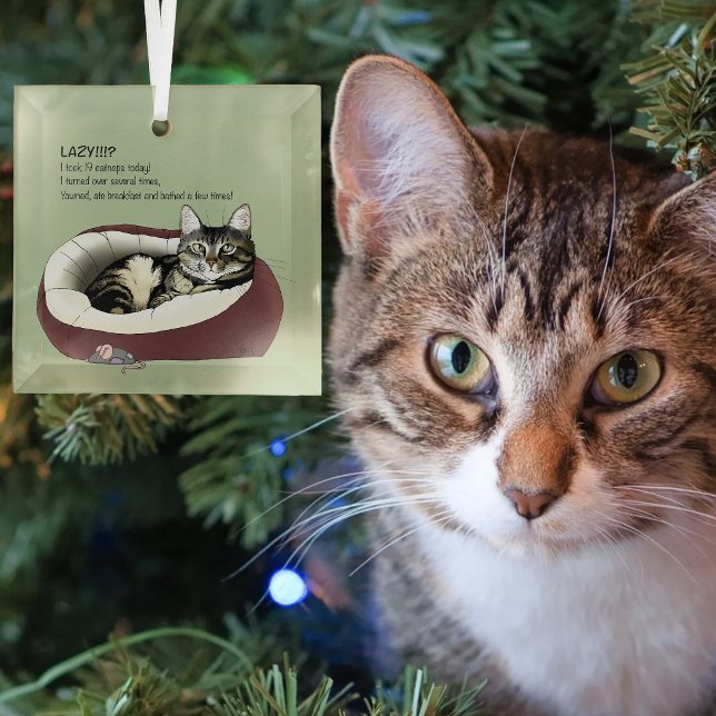 Lazy Cat Bed Green Funny Ornament Aus Glas (Von Creator hochgeladen)