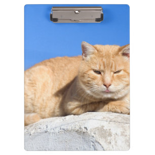 Lazy Cat Klemmbrett